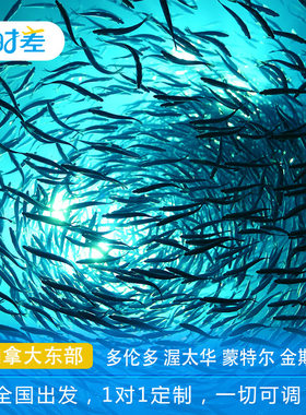 定制旅行加拿大东部10日文化亲子游 里普利水族馆+尼加拉大瀑布
