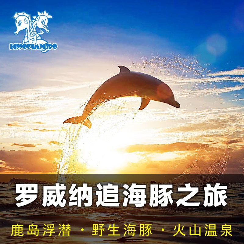 巴厘島羅威納壹日遊羅威納看海豚追海豚滑翔傘秋千漂流火山溫泉在類目 度假線路/簽證送關/旅遊服務, 自由行/跟團遊, 境外當地玩樂中 - 來自Buy2taobao.com提供專業的淘寶代購服務