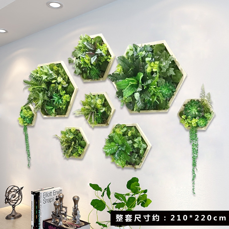 创意六边装饰画绿植挂件家居墙面仿真多肉植物墙客厅背景墙壁挂图片