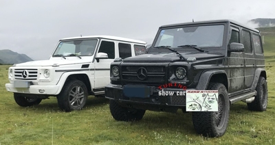 W463 G320G350G500G55G63G65 全黑 哑黑 巴博斯中网 高品质