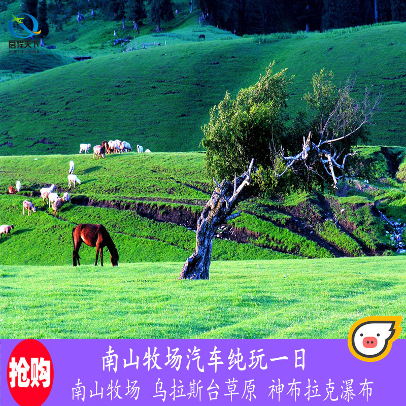 新疆旅游西白杨沟南山牧场汽车纯玩1日无购物无强消赠乌拉斯台
