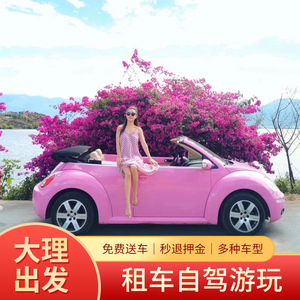 大理租车自驾洱海Smart甲壳虫宝马奥迪敞篷保时捷车型火车站双廊