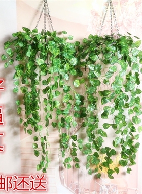 仿真吊兰壁挂绿萝藤条