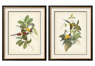 授权纯进口原版 热带花鸟 饰画 家居 画芯简美式 花鸟装