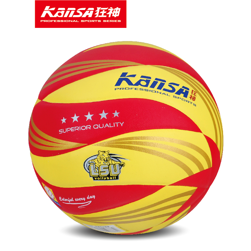 Ballon de volley - Ref 2016577 Image 1