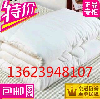 医院宾馆褥子被芯蓄热保暖