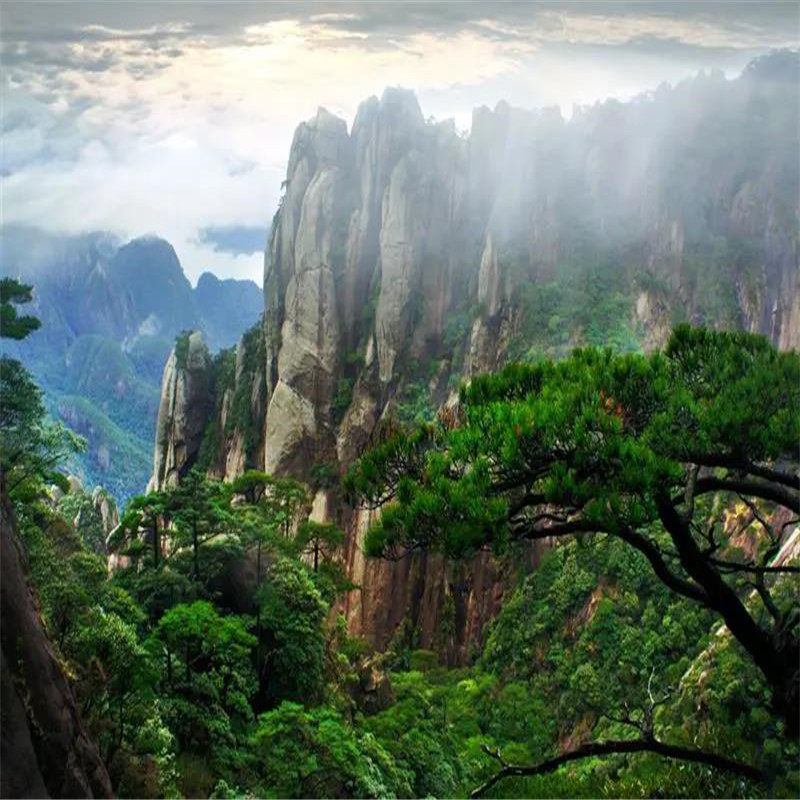 全国各地到江西定制旅游，庐山+婺源篁岭+景德镇+三清山+南昌多日,度假线路/签证送关/旅游服务,境内线路定制,淘宝优惠券,粉丝福利购,淘宝优惠卷