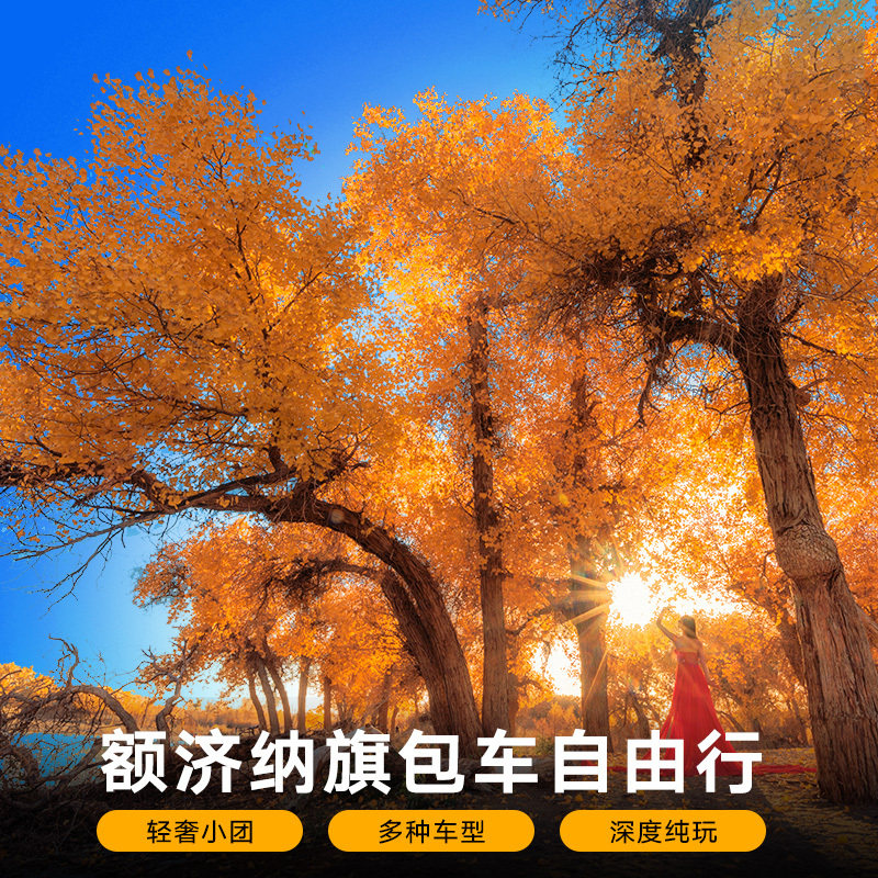 Ejinaqi Qinghai Dunhuang Travel? Populus Zhangye Gansu Loop Line Chartered Pure Play Pendingin the Holiday Line/Visas send off/Travel services , Car/ground Public transportation, Chartered(Hire by day/Route chartered car) category - from Buy2taobao.com to provide professional Taobao agent buy service