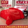 Duvet shell quilt cover quilt tự điền bông cống chống khoan len nhung lót lõi chống lông vải bán thành phẩm - Quilt Covers chăn phao lông vũ