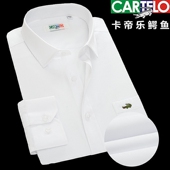 男士 白色职业装 长袖 鳄鱼新款 衬衫 中青年爸爸商务宽松纯棉免烫寸衣