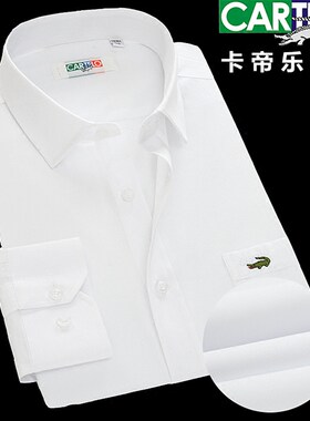 长袖衬衫鳄鱼白色纯棉免烫寸衣