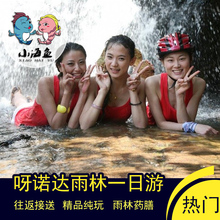 上门接送免排队海南三亚呀诺达热带雨林一日游纯玩含门票海南旅游