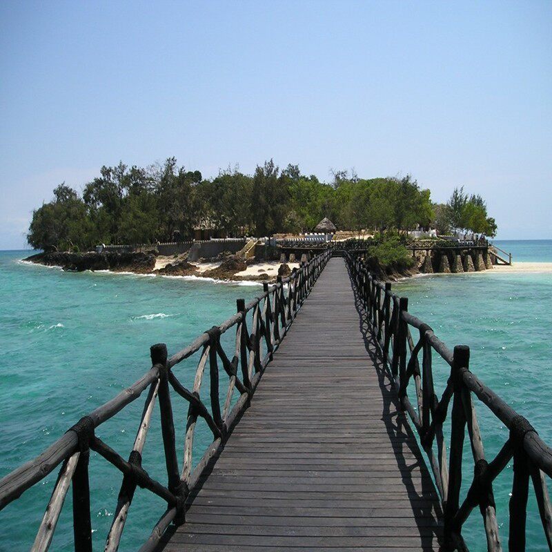 坦桑尼亚 桑给巴尔岛监狱岛（Prison Island）龟岛之旅