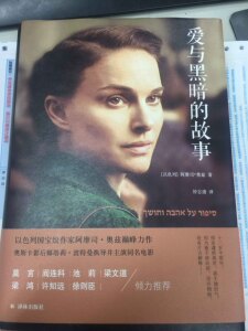爱与黑暗的故事