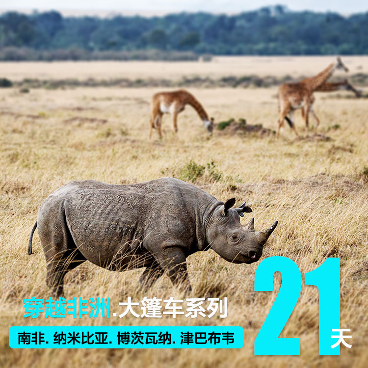 穿越非洲旅游 南非/纳米比亚/博茨瓦纳/津巴布韦四国联线21日跟团|msdalam kategori talian Holiday/Visa menghantar off/Travel Services, latihan percuma/Perjalanan dengan kumpulan, perjalanan keluar dengan kumpulan - dari Buy2taobao.com untuk memberikan perkhidmatan ejen Taobao profesional membeli