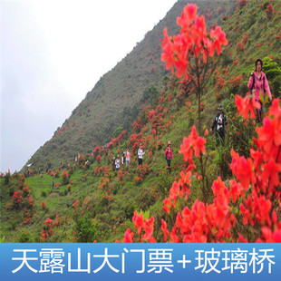 玻璃桥 天露山旅游度假区 大门票 玻璃桥套票 云浮新兴天露山门票