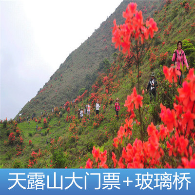 [天露山旅游度假区-大门票+玻璃桥]云浮新兴天露山门票+玻璃桥套票