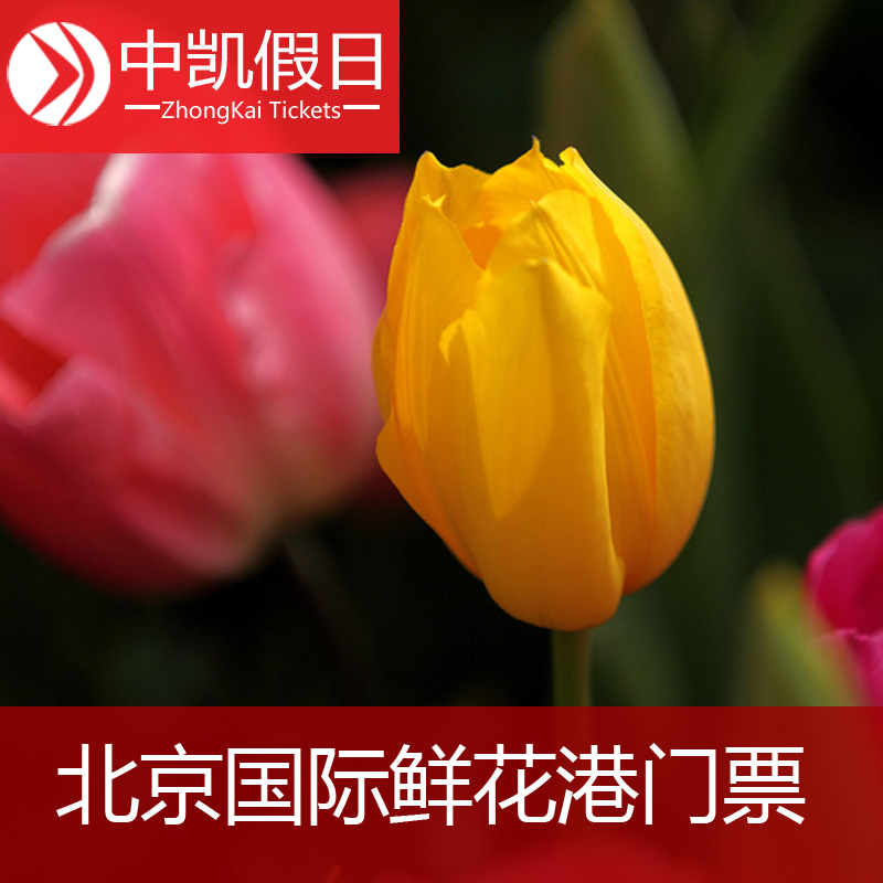 [北京顺义国际鲜花港-大门票]北京顺义鲜花港门票 郁金香在类目 景点门票/实景演出/主题乐园, 国内票务中 - 来自Buy2taobao.com提供专业的淘宝代购服务