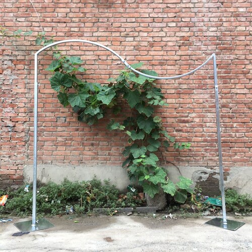 新款婚庆道具s杆线帘架子婚礼背景架弯弧形背景装饰花艺吊顶圆环