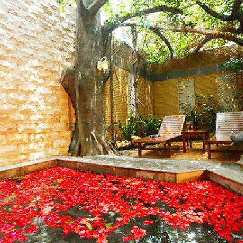 [阳西咸水矿温泉-大门票]阳江 阳西咸水矿温泉度假区门票