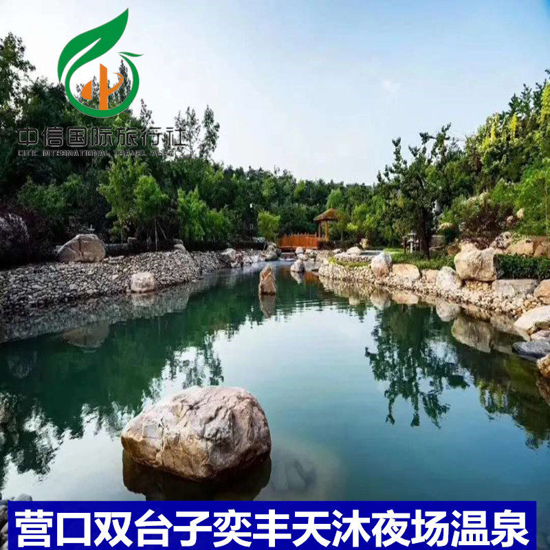 [营口奕丰天沐温泉-夜场票]营口双台子奕丰天沐夜场温泉票