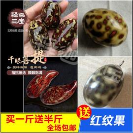 千眼菩提子原籽原料成品手串，红纹果老果大原果，手把件通货按斤