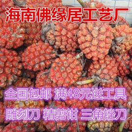 滴血莲花整果莲花菩提原籽海南野菠萝鲜果菩提子佛珠手串原料产地