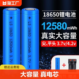 18650锂电池大容量3.7v强光手电筒机头灯小风扇4.2电池充电器5号