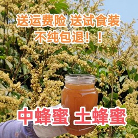 自养自卖蜂蜜中蜂蜜土蜂蜜，农家蜜百花蜜纯天然美容保健