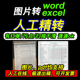 图片转换word照片pdf转excel表格人工提取文字，拍照扫描件代转格式