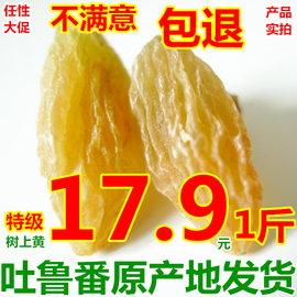 蜜之番500g新疆特产吐鲁番无核白树上黄葡萄干金皇后(金皇后)零食提子干