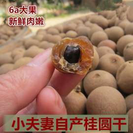 桂圆干500g特级博白龙眼干6a特大桂圆散装肉厚核小非福建桂圆