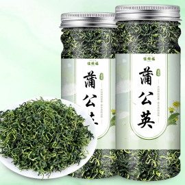 蒲公英茶中药材新鲜散茶干草不特级野生浦公英叶根