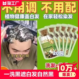 泡泡染发剂植物天然一洗黑遮白发自然黑纯自己在家染发膏袋装美发