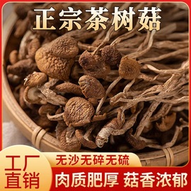 正宗农家特产茶树菇 干货