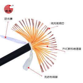 国超电缆rvv24075平方国标铜芯电缆线，24芯控制信号，电源线黑色1