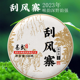 凿成普洱茶生茶易武刮风寨，100克饼茶喉韵深野韵，云南普洱生茶饼