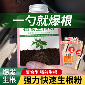 快速生根粉植物通用扦插专用生根液果树移栽强力生根剂国光多灵菌