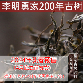 2024头春仅100斤古树200年古树散纯料大叶普洱生茶500克