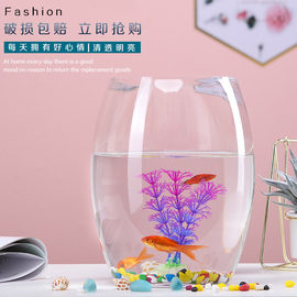 创意水族箱生态圆形玻璃金鱼缸(金鱼缸，)大号乌龟，缸迷你小型造景水培花瓶