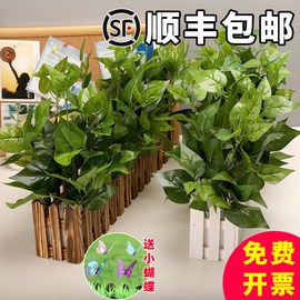 仿真花草植物假绿植物假花摆件室内客厅窗台装饰木栅栏假绿萝盆栽