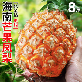 海南芒果凤梨8斤热带水果，当季新鲜金钻风梨香水，大菠萝自然熟整箱1