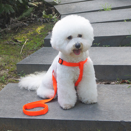 中小型犬 狗链子 抗拉小狗狗牵引绳贵宾犬泰迪遛狗绳子型犬胸背带