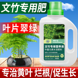 坤宁王文竹营养液专用肥料，治黄叶盆栽，植物养花通用花肥料盆景氮肥