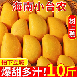 海南小台农芒果10斤新鲜小台芒当季特产水果，现摘芒果大果整箱