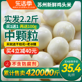 加赠100g!十善村鸡头米，新鲜2023苏州芡实鸡米头非手剥干货