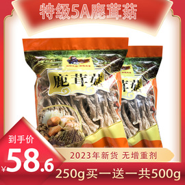 鹿茸菇干货无碎2023年新干货(新干货)500g鹿茸菌云南野生菌美味食材鹿绒菌