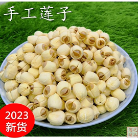 2023年新鲜无芯莲子500g 手工去芯莲子干货 江西广昌通芯白莲