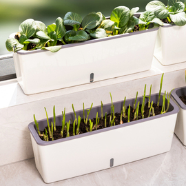 阳台种菜盆蔬菜，种植专用箱超窄窗沿边长方形草莓，花槽懒人花盆神器