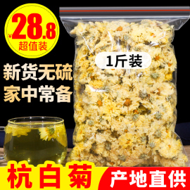 菊花茶杭白菊花桐乡特级正宗杭菊杭州贡菊胎菊500克2024新货